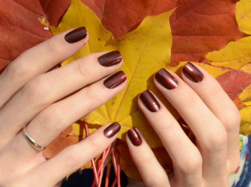 Ногти Дизайн Однотонные Осень
